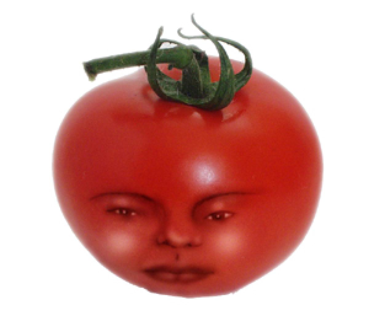 Eating tomatoes do flare up gout pain